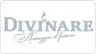 Divinare