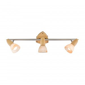 Подсветка Citilux Монте CL505531