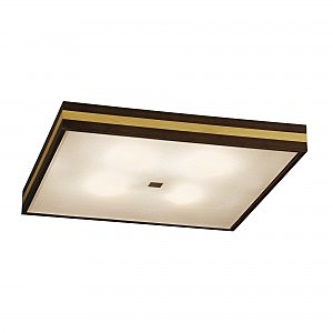 Потолочный светильник Citilux CL940421