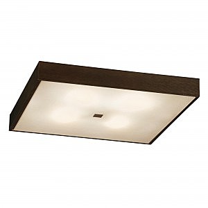 Потолочный светильник Citilux CL940411