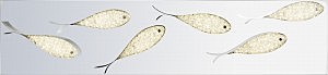 Настенное бра Doremix 56130-48D