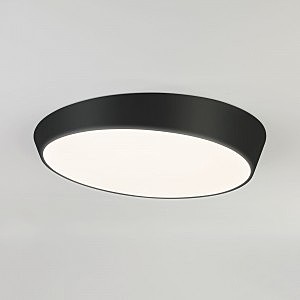 Светильник потолочный Visual 90114/1 черный 125W
