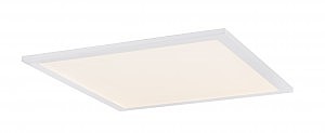 Светильник потолочный Rosi 41604D2D