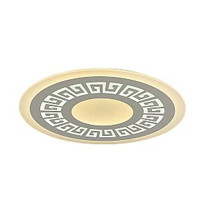 Светильник потолочный Ledolution 2273-8C
