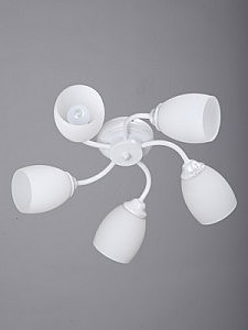 Потолочная люстра V3597 V3597/5PL