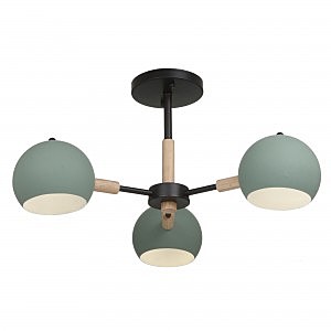 Потолочная люстра Trisha FR5032CL-03B