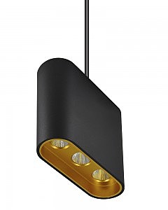 Светильник подвесной Элой 8004/3P-BK-GD