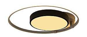 Потолочная люстра Vision 10244/2LED