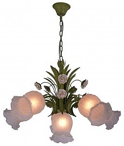 Подвесная люстра Floristic 486/6