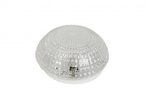 Настенно потолочный светильник Arte Lamp CRYSTAL A3821PL-1SS