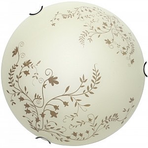 Настенно потолочный светильник Arte Lamp ORNAMENT A4920PL-1CC