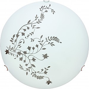 Настенно потолочный светильник Arte Lamp ORNAMENT A3820PL-2CC
