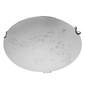 Настенно потолочный светильник Arte Lamp ORNAMENT A3820PL-1CC