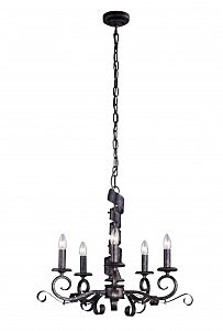 Подвесная люстра Arte Lamp ARENA A8952LM-5BG