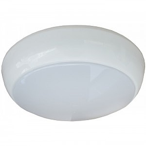 Настенно потолочный светильник Arte Lamp PORCH A4520PF-2WH