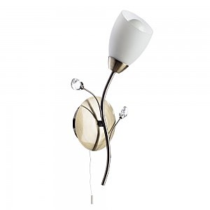 Настенное бра Arte Lamp GARDENIA A2766AP-1AB