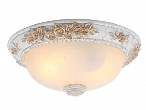 Светильник потолочный Arte Lamp TORTA A7101PL-2WG