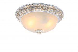 Светильник потолочный Arte Lamp TORTA A7121PL-2WG