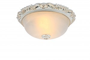 Светильник потолочный Arte Lamp TORTA A7151PL-2WG