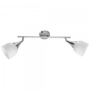 Светильник спот Arte Lamp TRUMPET A9556AP-2CC