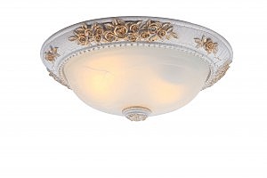Светильник потолочный Arte Lamp TORTA A7102PL-2WG