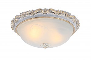 Светильник потолочный Arte Lamp TORTA A7152PL-2WG