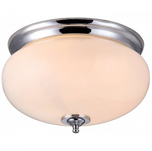 Светильник потолочный Arte Lamp ARMSTRONG A3560PL-2CC
