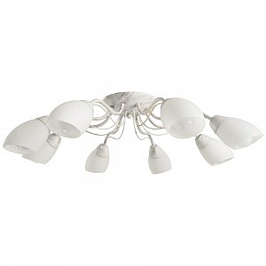 Потолочная люстра Arte Lamp CARLO A8105PL-8WG