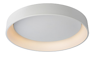 Светильник потолочный Talowe Led 46100/80/31