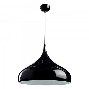 Светильник подвесной Arte Lamp CAPPELLO A3266SP-1BK