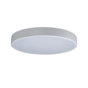 Светильник потолочный Axel 10002/24 White