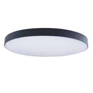 Светильник потолочный Axel 10002/48 Black
