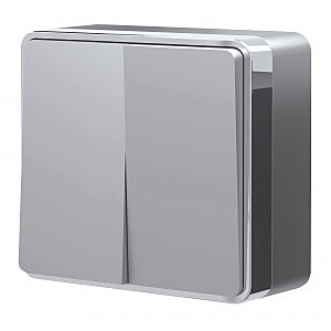 Выключатель W5020006/ Выключатель двухклавишный Gallant (серебряный)