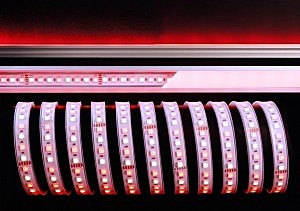 LED лента SMD5050 840145