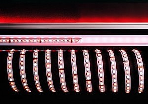 LED лента SMD5050 840217