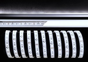 LED лента SMD2835 840121