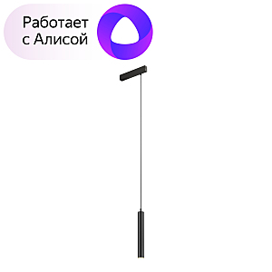 Трековый светильник Smart Spot DK8008-BK