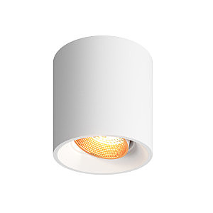 Накладной светильник Dk3020Wbr DK3090-WBR