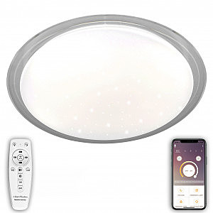 Потолочная люстра LED LED LAMPS 81102