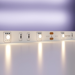 LED лента LSM 12V 5050 10120