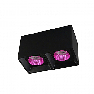 Накладной светильник DK3030 DK3085-BK+PI