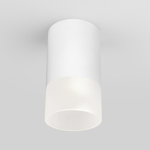 Уличный потолочный светильник Light LED Light LED 2106 (35139/H) белый