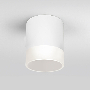 Уличный потолочный светильник Light LED Light LED 2107 (35140/H) белый