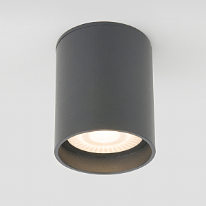 Уличный потолочный светильник Light LED Light LED 2104 (35130/H) серый