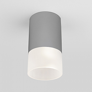 Уличный потолочный светильник Light LED Light LED 2106 (35139/H) серый