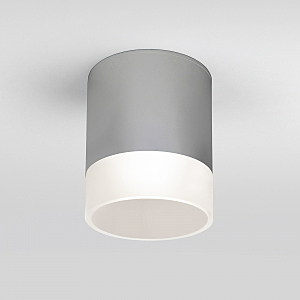 Уличный потолочный светильник Light LED Light LED 2107 (35140/H) серый