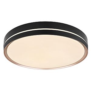 Светильник потолочный Manni 41759-40