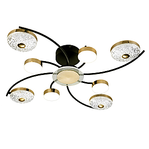 Потолочная люстра Divita 10208/8LED