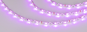 LED лента RZ волна 018218
