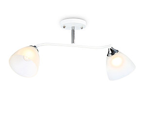Потолочная люстра Modern TR303001